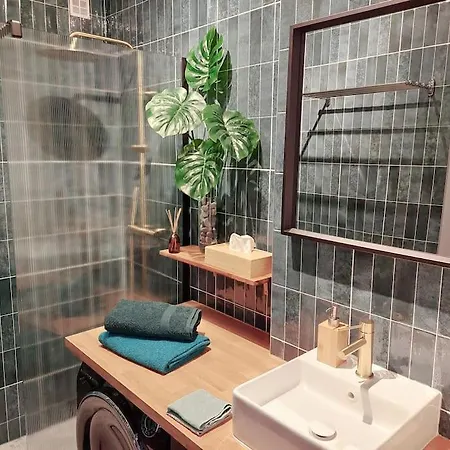 Grand Studio Avec Terrasse A 20 Metres De La Plage 公寓 *